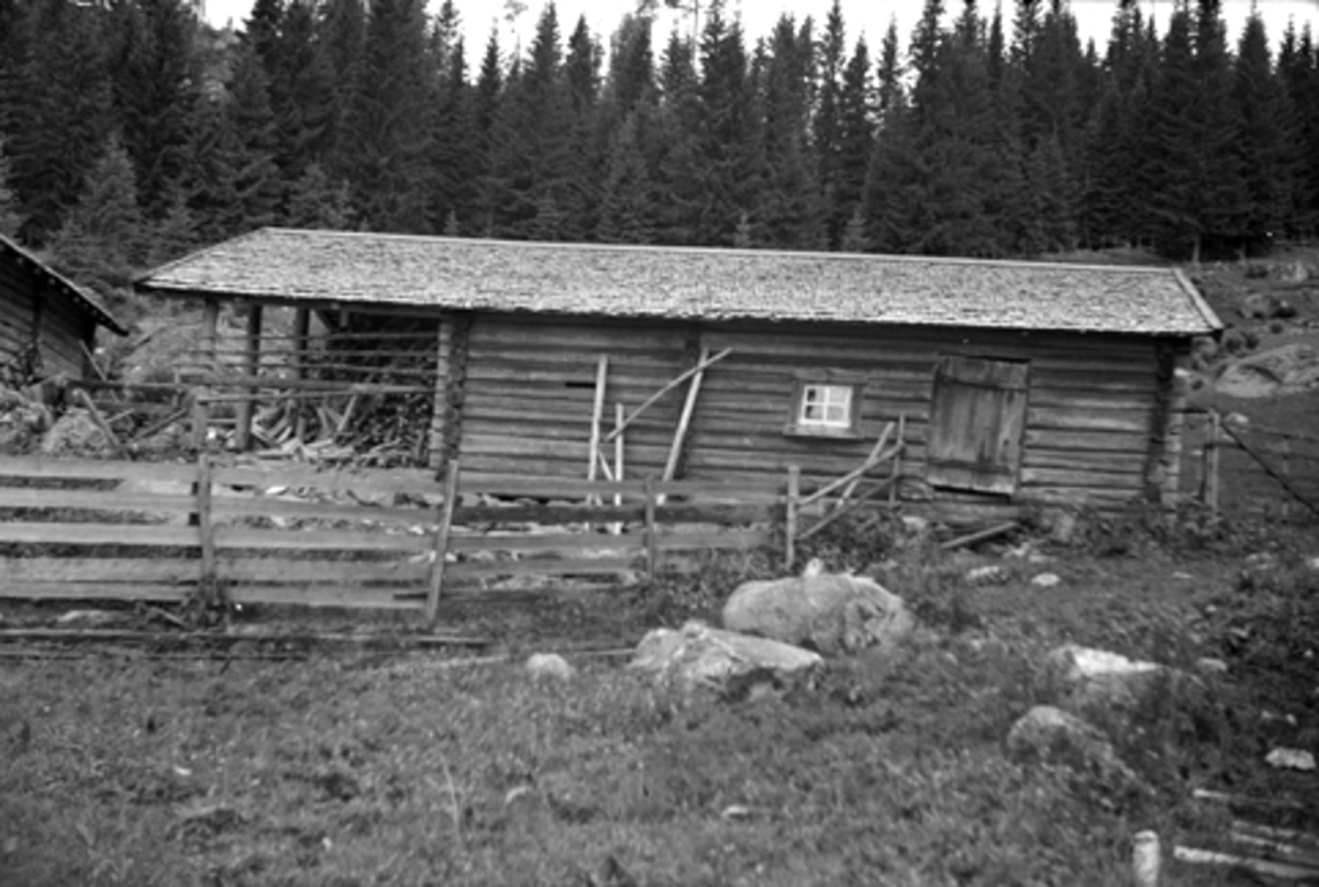 Toralv Bleken-Nilssen, TRONSHATTEN, SETER, Romedal alm. Stange, HUSESTØRHUSET, TIDL. 603
