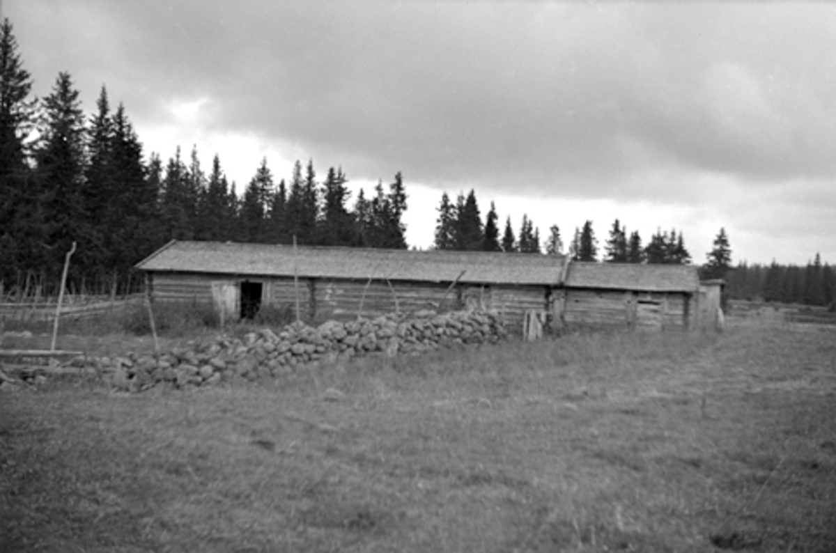 Toralv Bleken-Nilssen, OLSHØLEN, SETERFJØS, RINGSAKER ALLM. ALU ØSTRE, 1946.