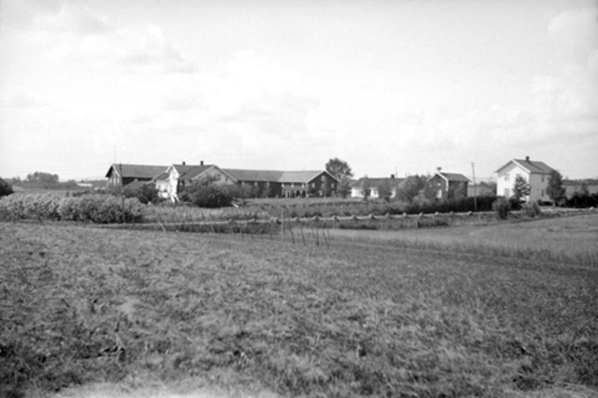 Anno Domkirkeodden, DÆLI GARD I VANG, Hamar, GNR. 75.