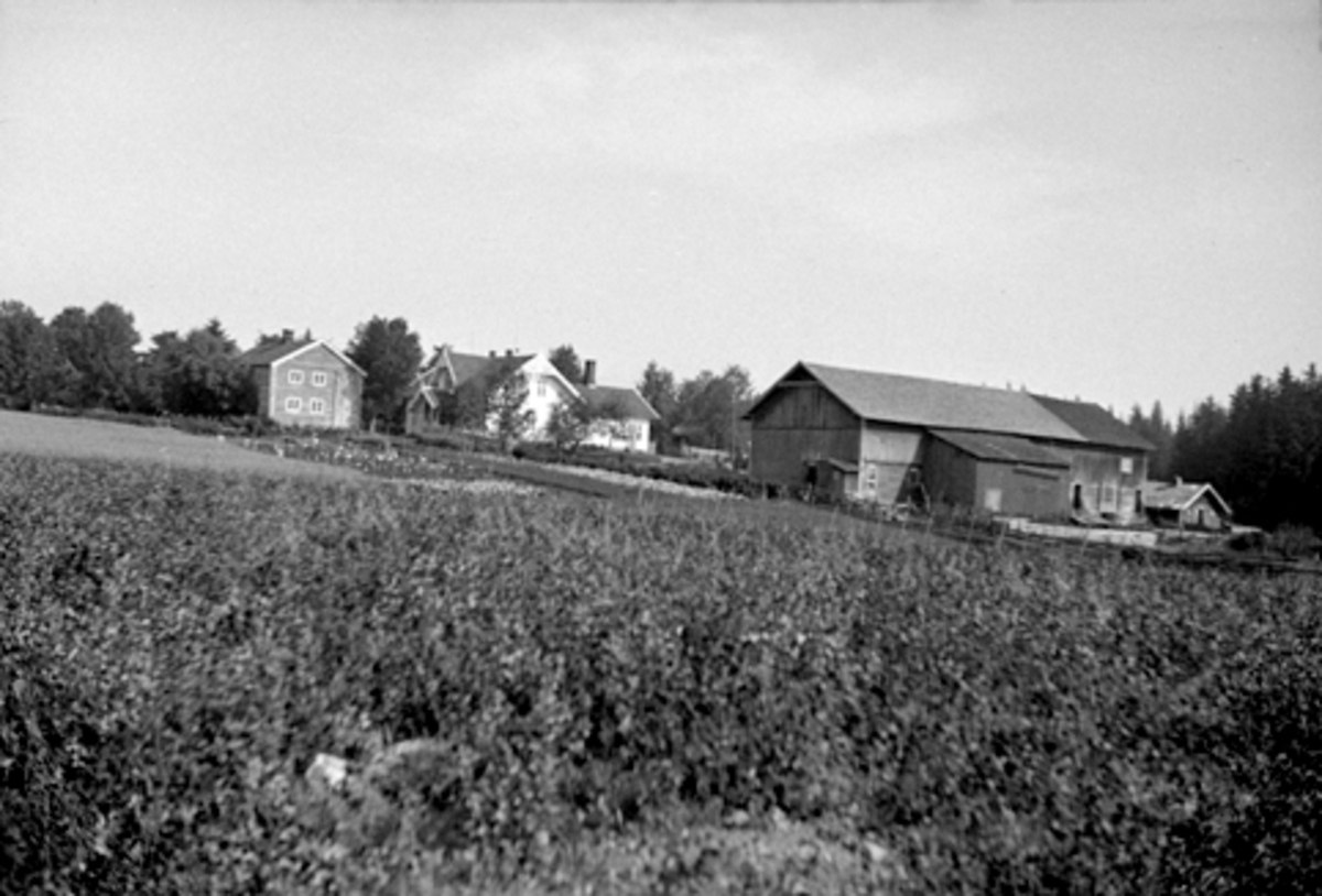 Anno Domkirkeodden, KRAFTRUD GARD I VANG, Hamar. GNR. 17