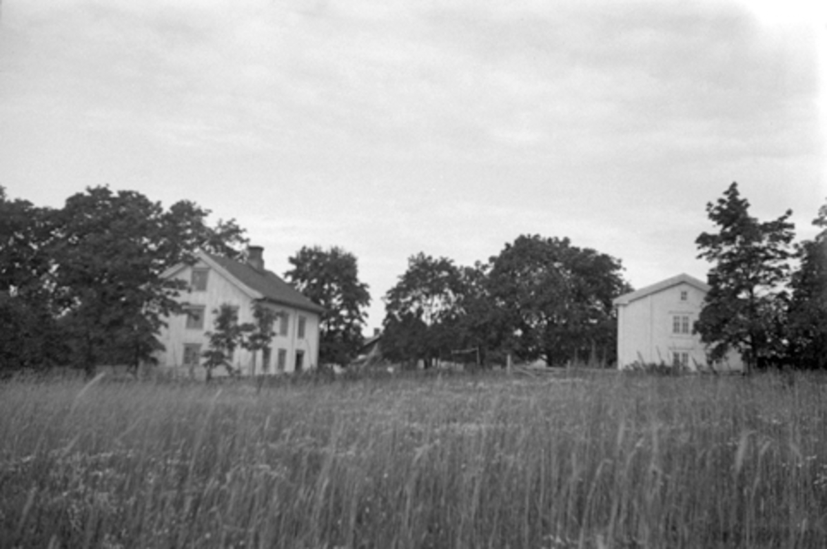 Anno Domkirkeodden, INGEBERG STORE I VANG, Hamar, GNR. 25-