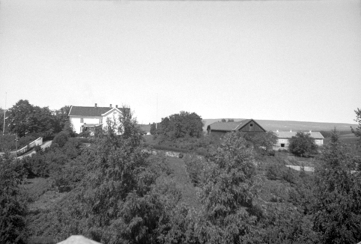 Anno Domkirkeodden, FLAKSTAD ØSTRE I VANG, Hamar, GNR. 28-
