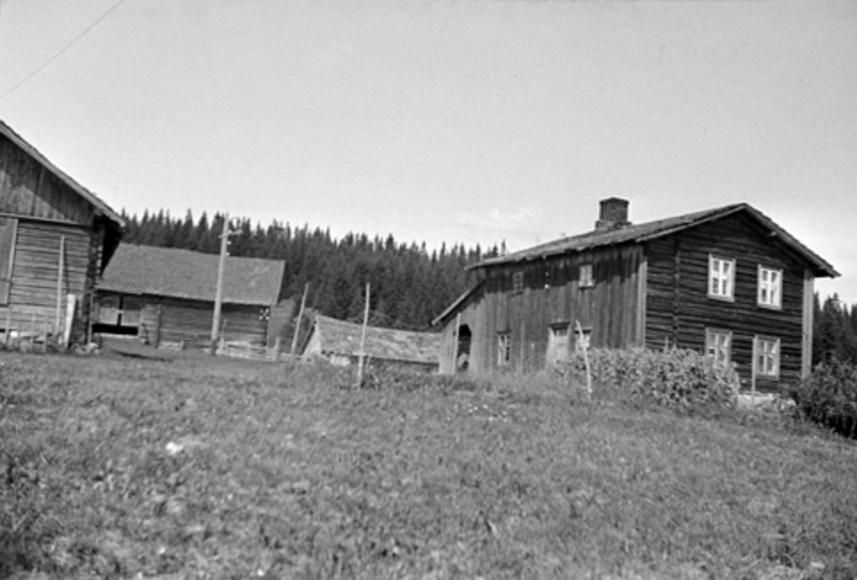Anno Domkirkeodden, TØMTE GARD I VANG, Hamar kommune, G. NR. 46-5.