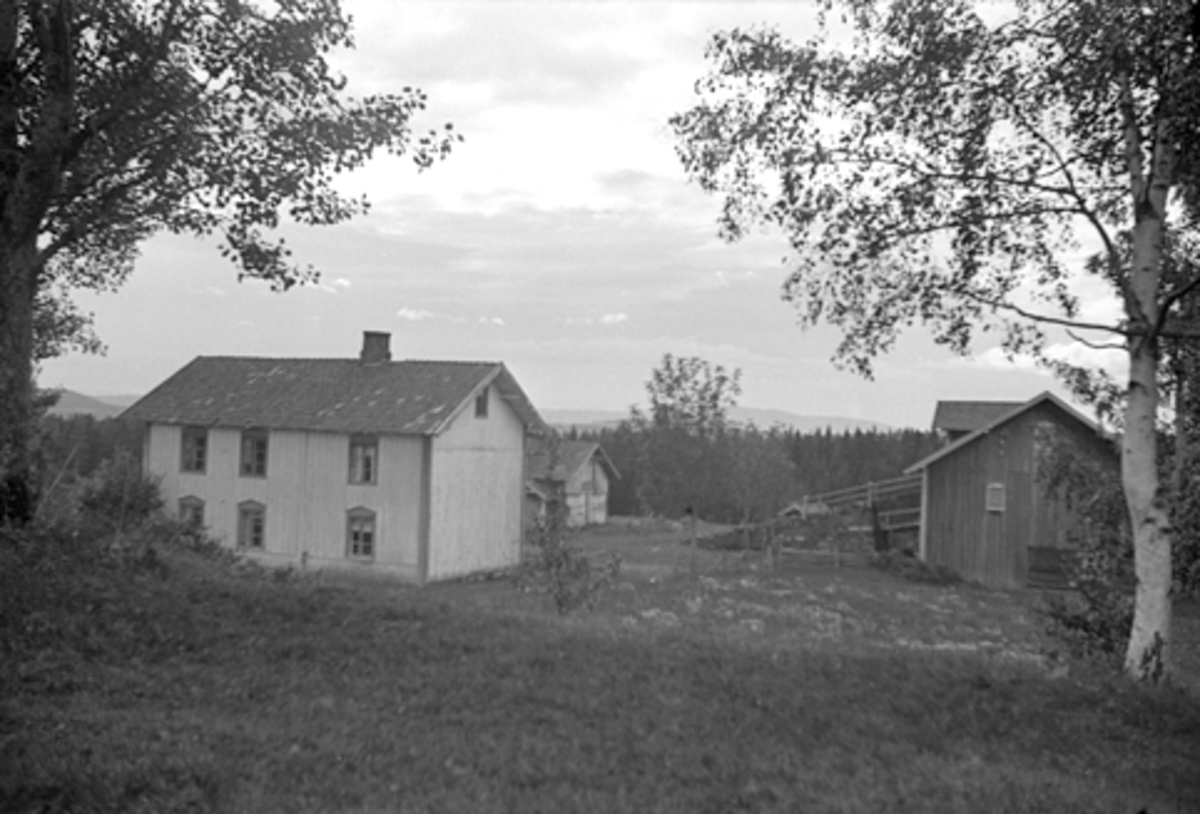Anno Domkirkeodden, VESTVANG GARD I VANG, Hamar kommune, G. NR. 57-