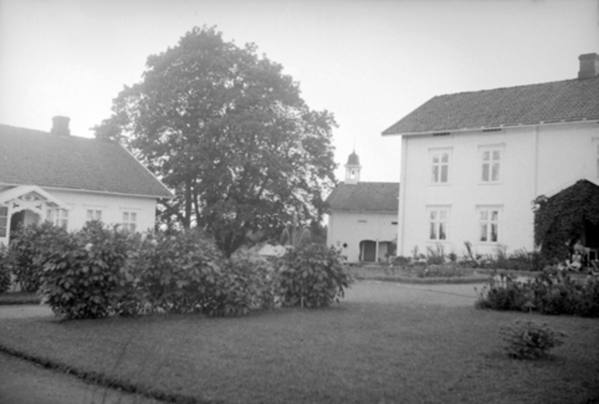 Anno Domkirkeodden, HOMMELSTAD, INNTUN, VANG H.
