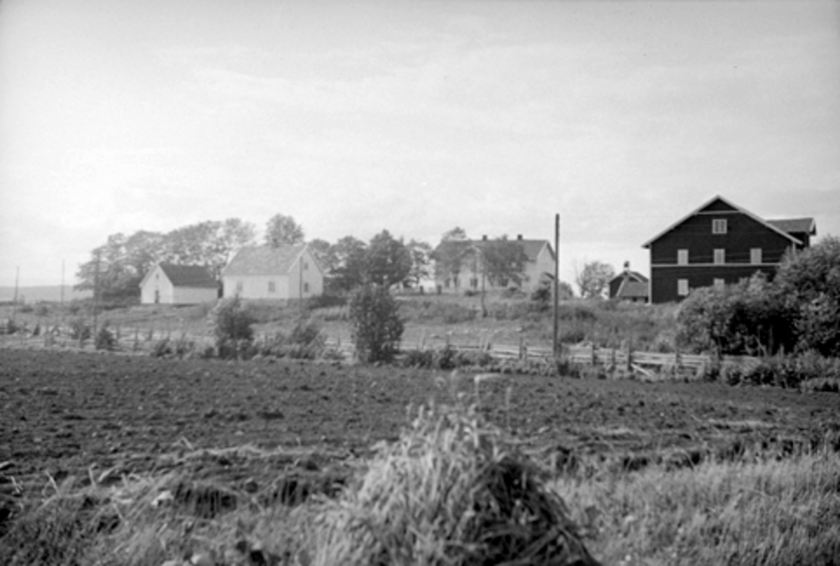 Anno Domkirkeodden, GILE, VANG. H. 193-
