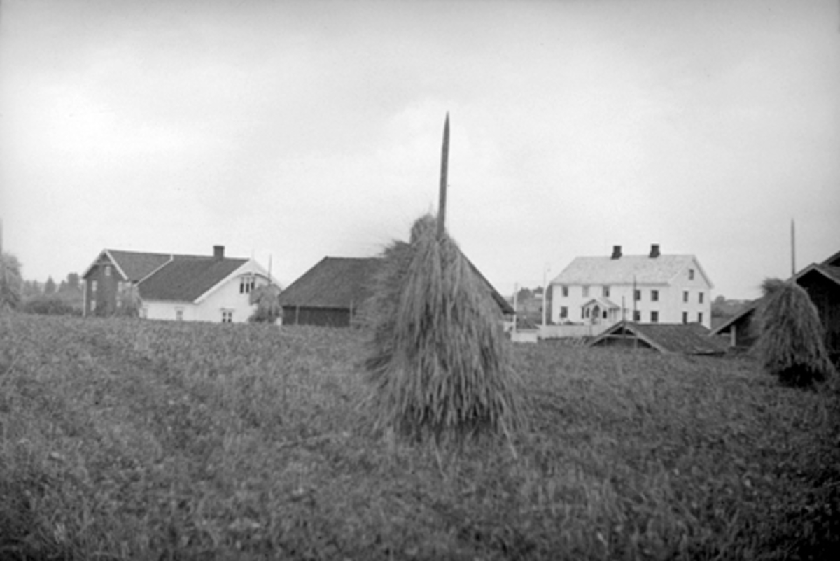 Anno Domkirkeodden, HOEL ØSTRE, VANG. H, KORNSNES