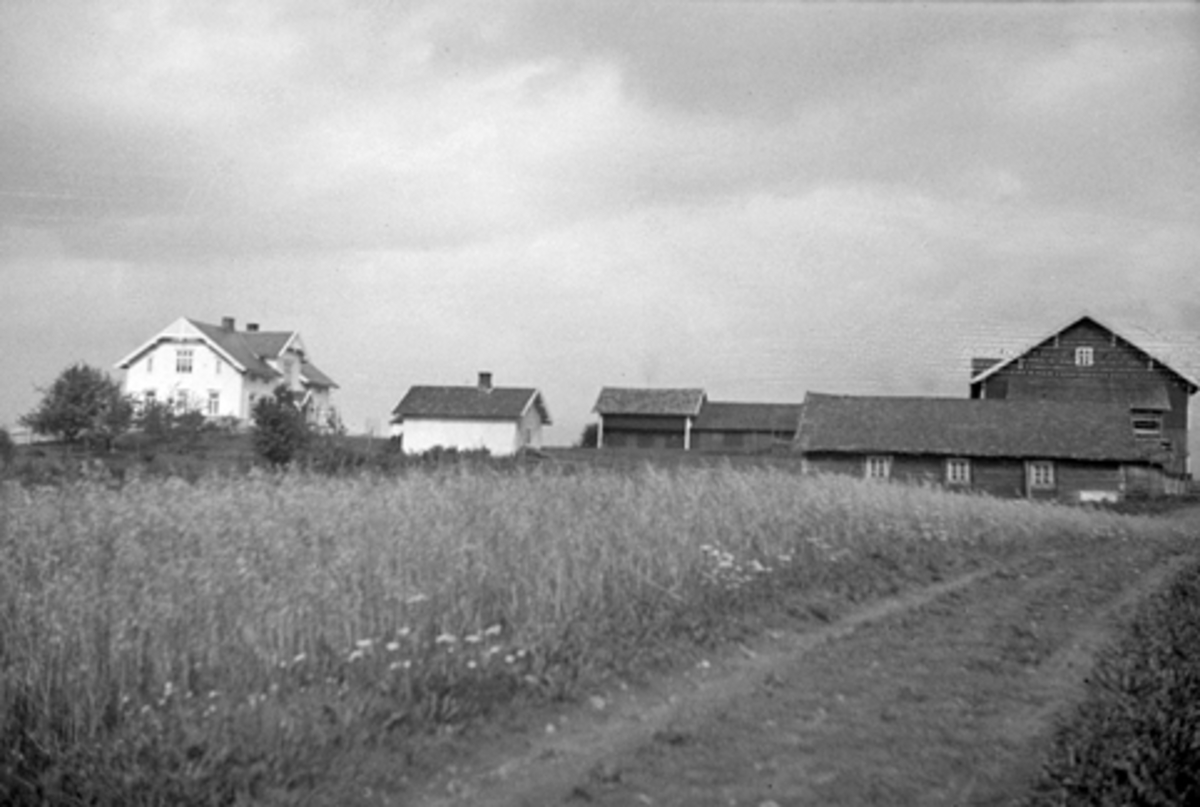 Anno Domkirkeodden, HOEL VESTRE, VANG H. 186-