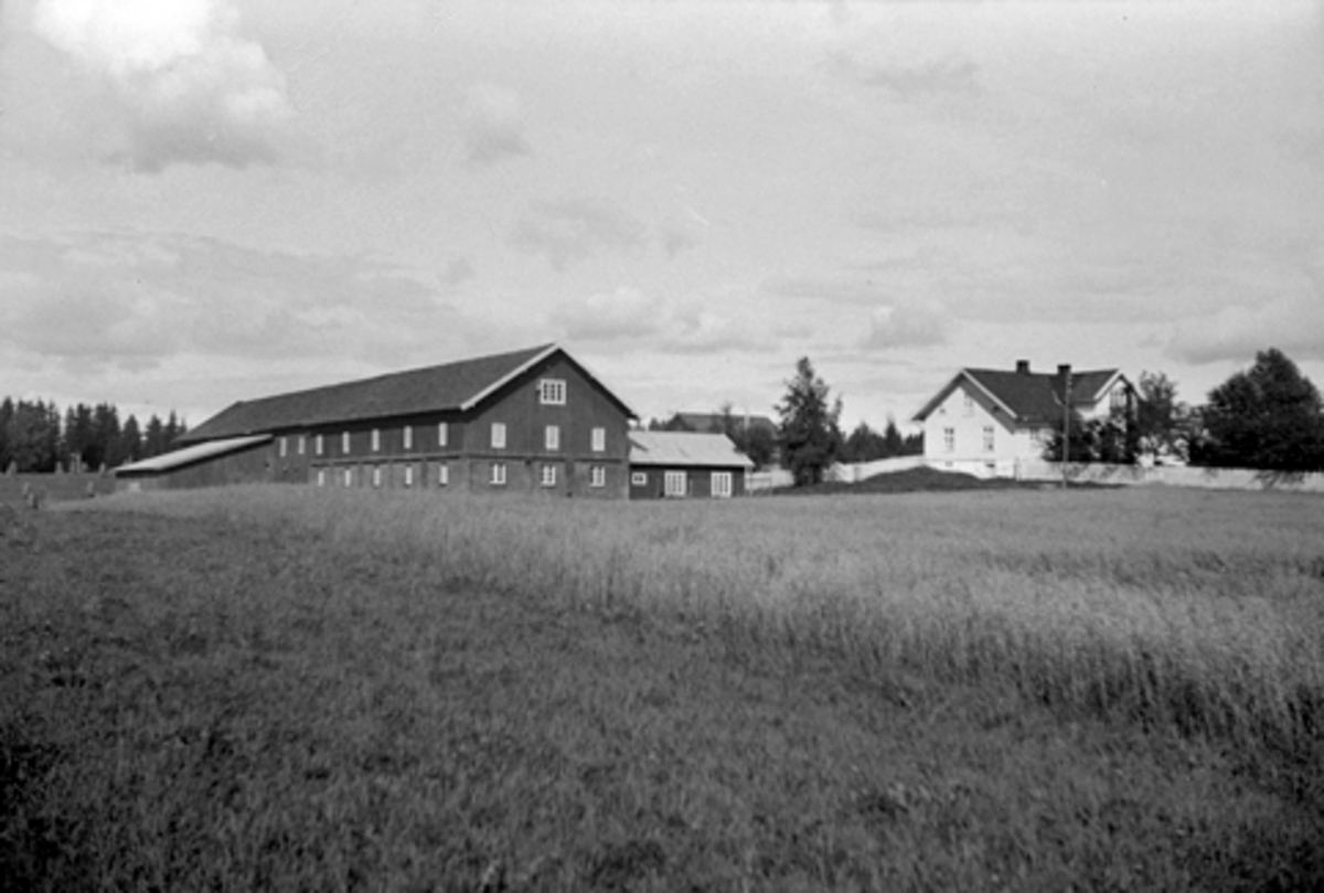 Anno Domkirkeodden, GRAN, VANG H. 161-