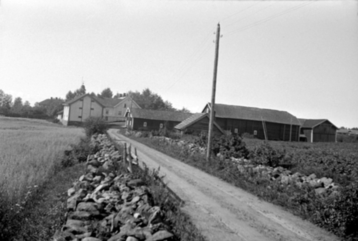 Anno Domkirkeodden, SKRAMSTAD GARD, VANG H, STEINGJERDE, VEG