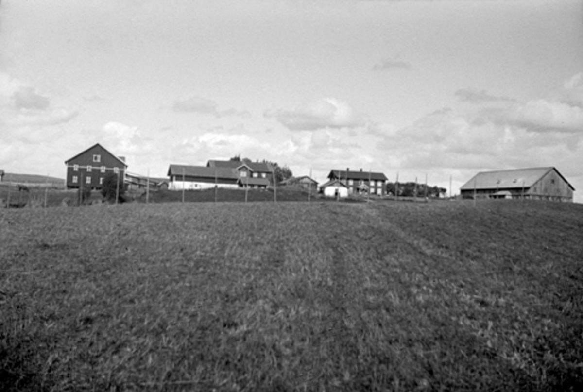 Anno Domkirkeodden, HAARSTAD VESTRE GARD I VANG H. 158-