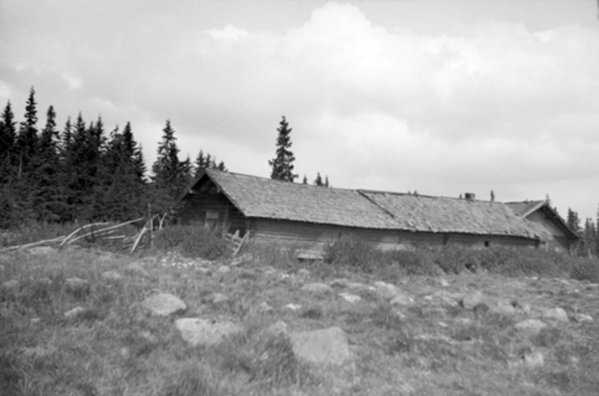 Toralv Bleken-Nilssen, BJØRSETRA, VANG ALLM. i Hamar kommune, FJØS, STØRHUS, HUBRED, LILLE.