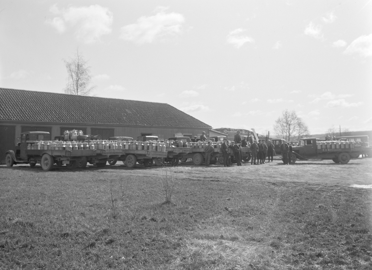 Christian Grundseth, Lastebiler med lastet med melkespann, Transport av melkekjeler. Lastebilsjåfører. Ukjent sted, Hedmarken. Lastebil fra Vallset. lastebil fra N. O. Westgaard