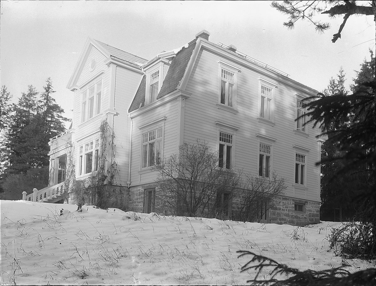 Christian Grundseth, AMTMANNSBOLIGEN, Hamar. FYLKESMANNSBOLIGEN EKSTERIØR, HUS.