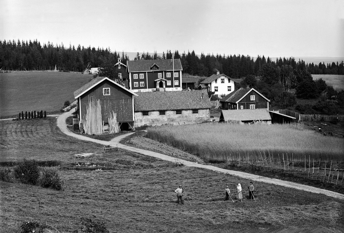 Martin Finborud, ALU ØSTRE. FURNES, Ringsaker. EKSTERIØR GARDEN MED ALLE BYGNINGER, arbeidere.