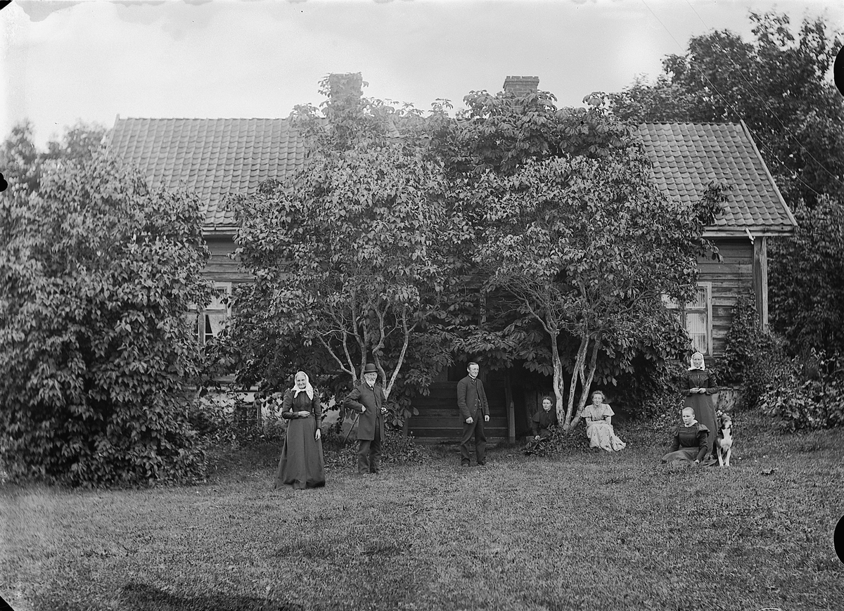 Martin Finborud, FAMILIE I HAGEN FORAN HUS, MED HUND. ALT. 1: HELGEBY. FØDERÅDSBYGNING. JACOB HELGEBY I MIDTEN eller ALT. 2: HUS PÅ NORD HOLO. RINGSAKER.