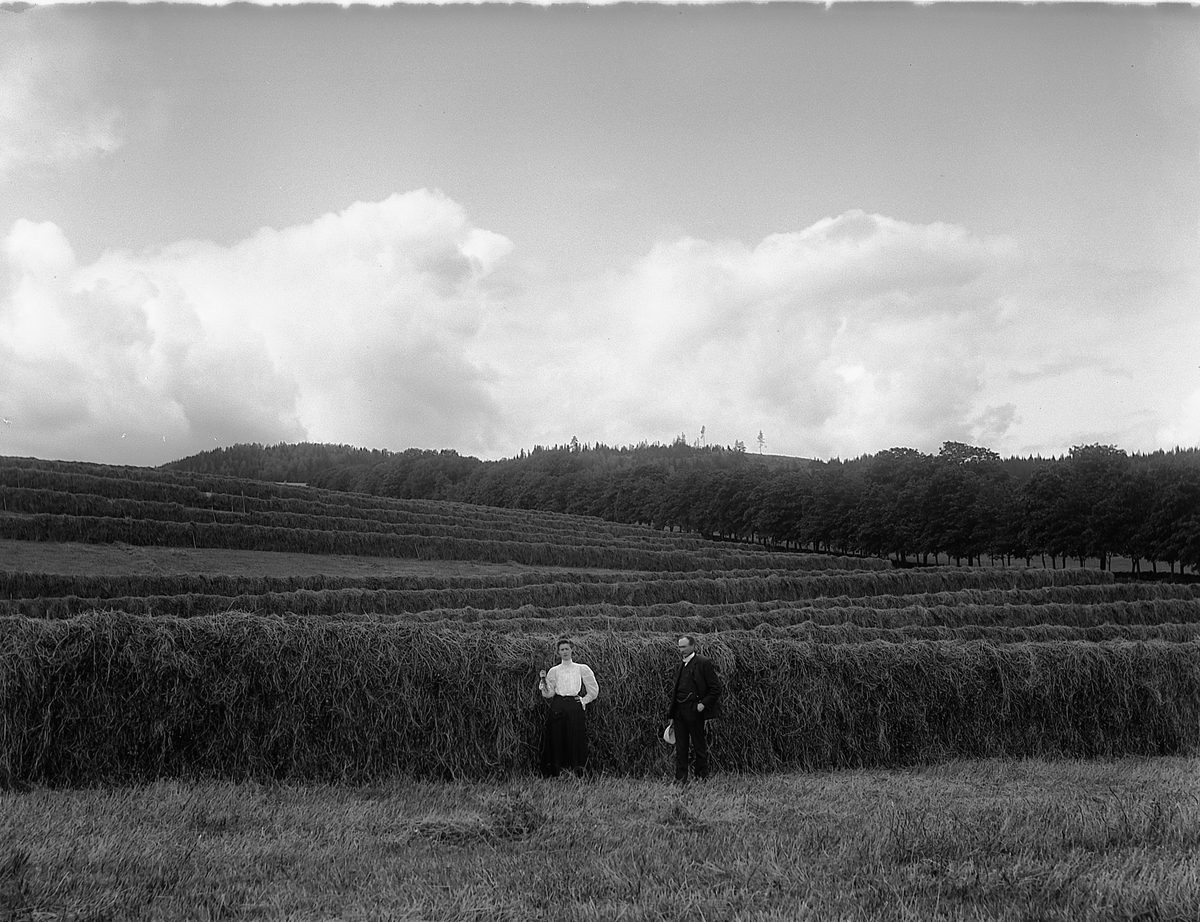 Martin Finborud, Grefsheim, Nes, Hedmark. Johan Egeberg Mellbye (1866-1954) og hustru Emilie Laura Petterson (1879-1954) foran rader med høyhesjer.