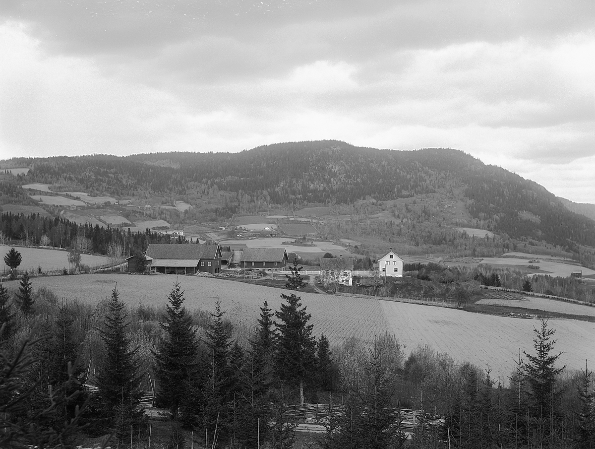 Martin Finborud, VOLD GARD. NES. LANDSKAP. Bangsberget.