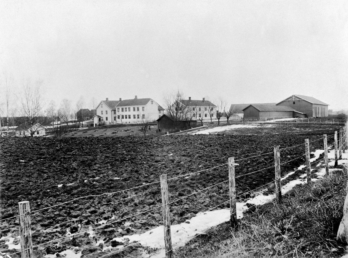 Johan Albert Steen, ÅKER GARD, Hamar, HOVEDBYGNING, DRIFTSBYGNING, OVERSIKT, 14-4-1901.