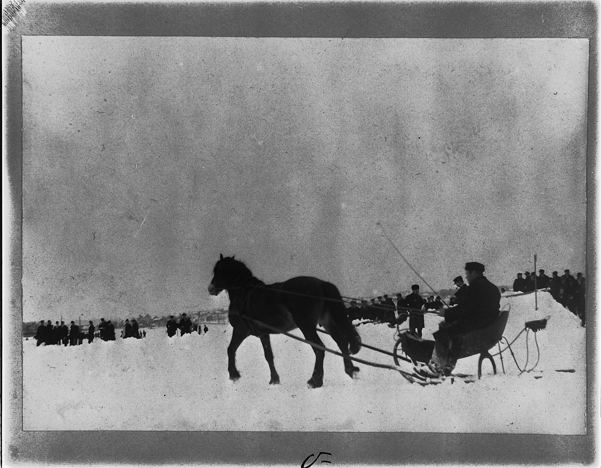 Johan Albert Steen, TRAVLØP PÅ MJØSISEN, HESTER, KUSKER, SLEDE, PISK. 2-3-1902. HAMAR OG OMEGN TRAVSELSKAP ARRANGERTE HVERT ÅR TRAVLØP PÅ MJØSA FØRSTE SØNDAG I MARS.