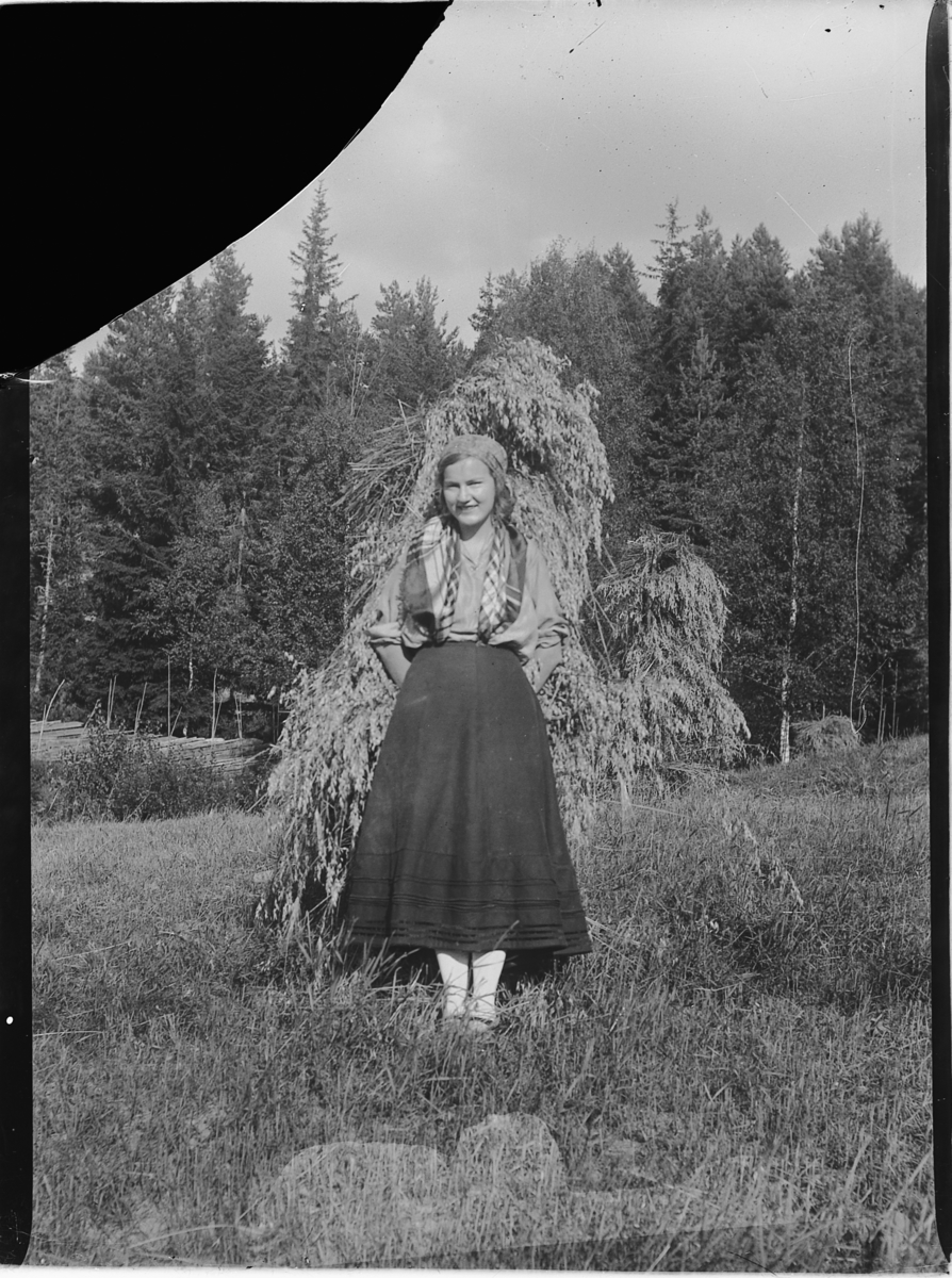 Mikkel Sveinhaug, AAGOT BØHMER 1933.