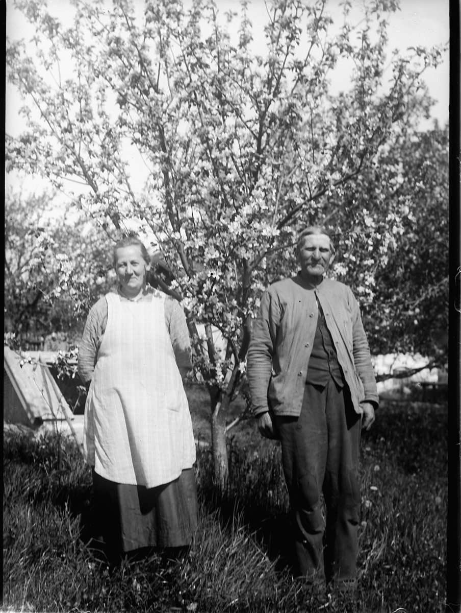 Mikkel Sveinhaug, KVINNE OG MANN, UKJENTE.