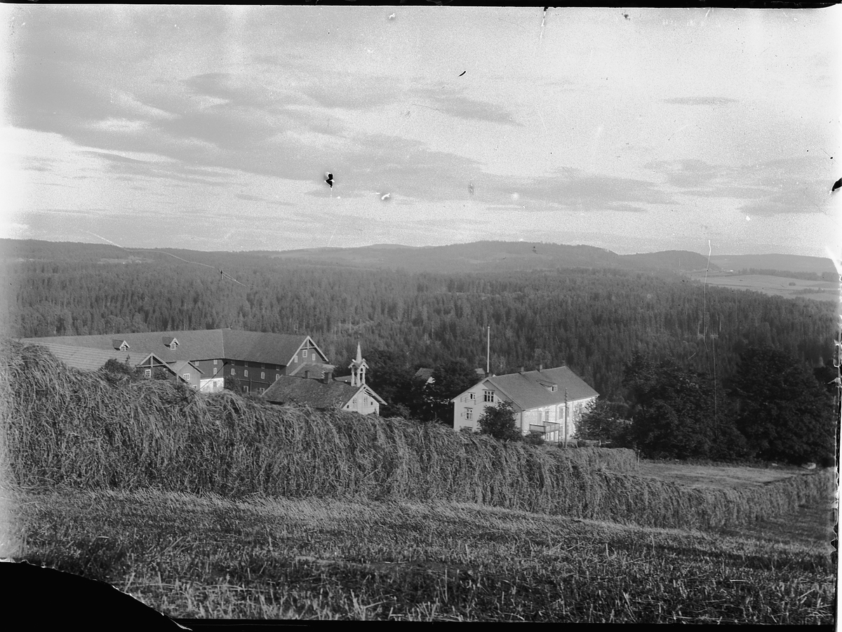 Mikkel Sveinhaug, TANDE GÅRD, RINGSAKER, HØYHESJE 1927.