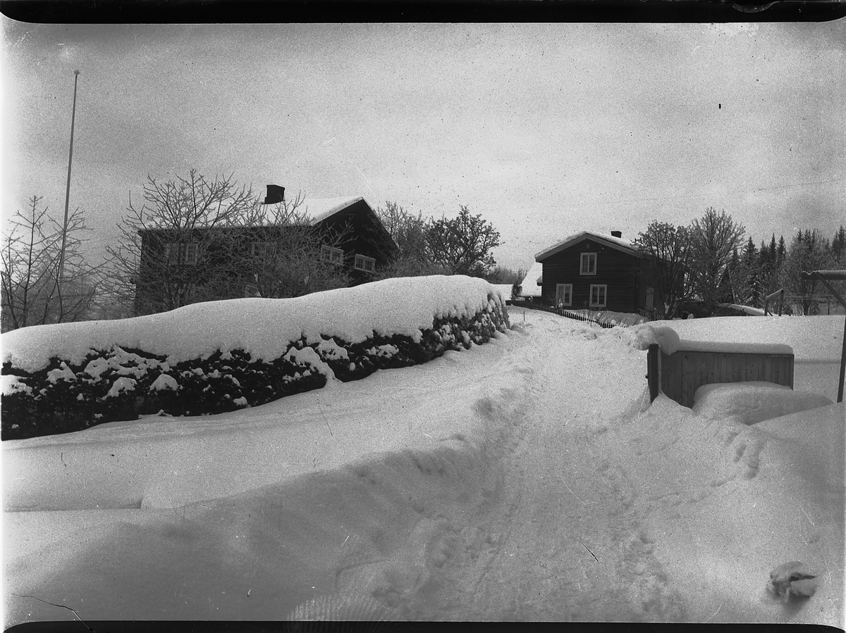 Mikkel Sveinhaug, BAARDSETHBAKKEN, EKSTERIØR, , VINTER.
