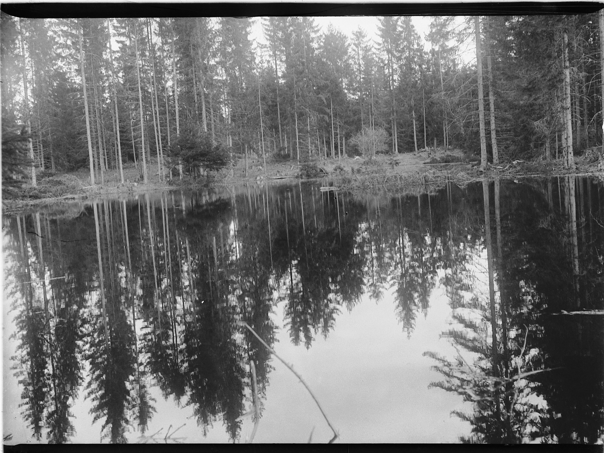 Mikkel Sveinhaug, SVARTTJERNET.