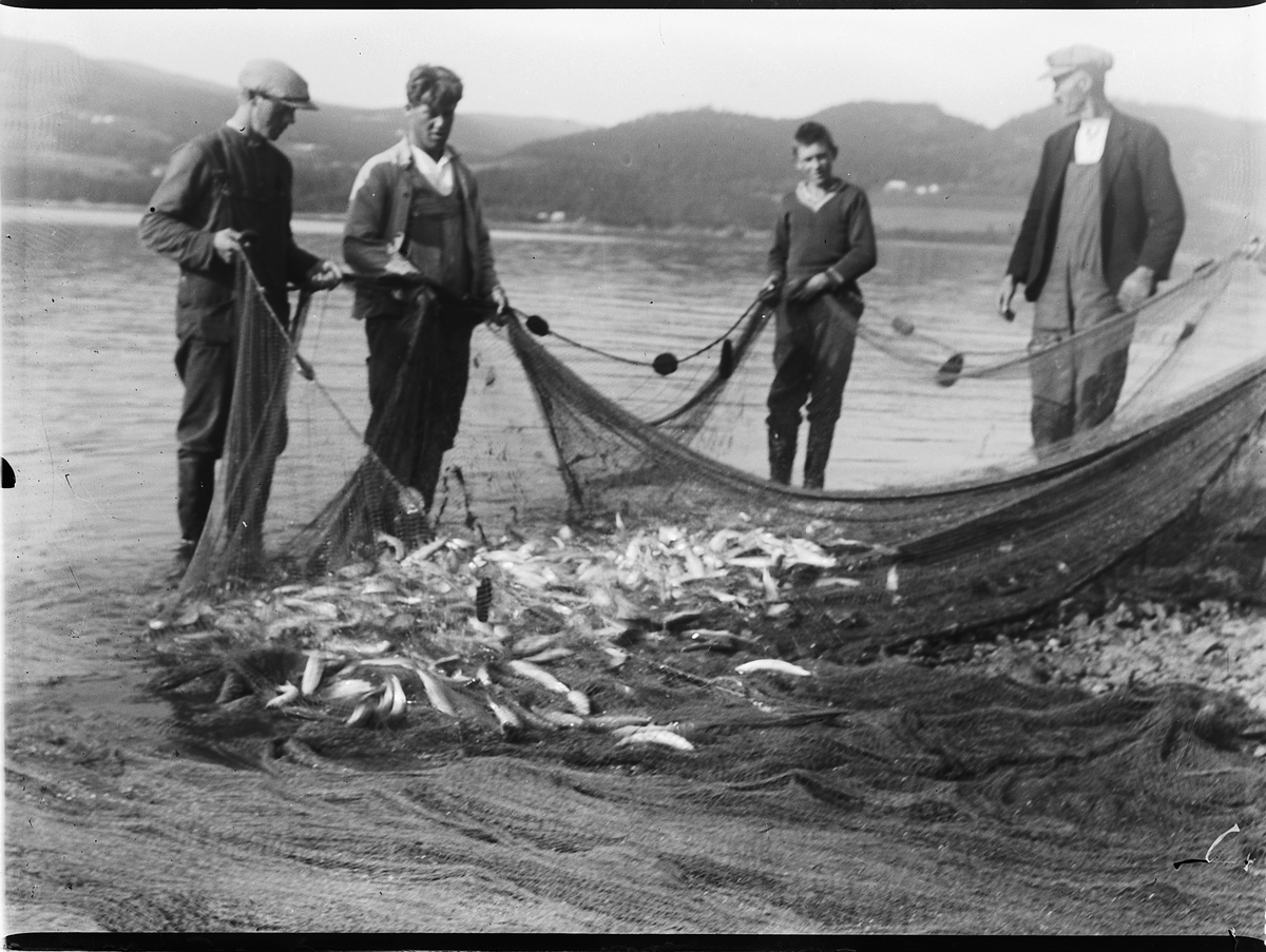 Mikkel Sveinhaug, LAGSILDFISKE PÅ PRESTEGÅRDSSTRANDA I RINGSAKER, SILDENOT. LÅGÅSILDFISKE. UKJENTE FISKERE.