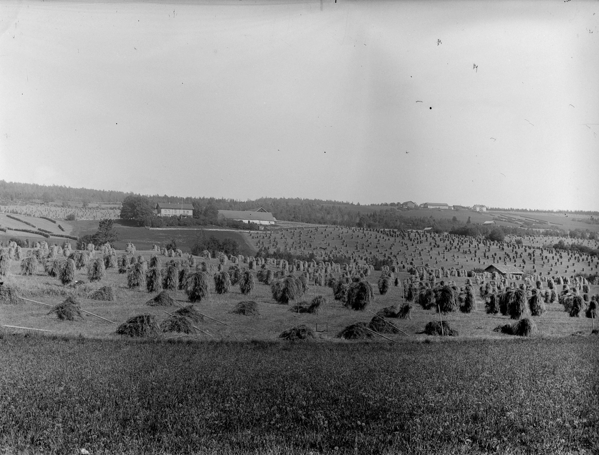 Ole Hansen Løken, TOKSTAD GARD, LØKENDALEN, RUDSHØGDA, KORNSNEIS, SKURONN, LANDSKAP.