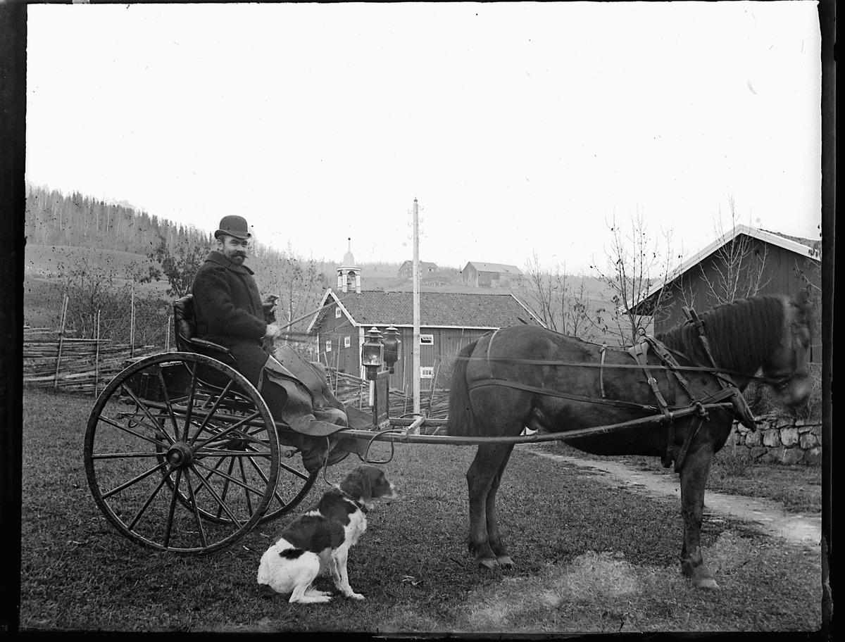 Ole Hansen Løken, HEST OG KARJOL, hund, UKJENT MANN MED PISK, HESTEKJØRETØY, PÅ TUNET TIL LØKEN ØSTRE, RUDSHØGDA, VELDRE i Ringsaker.