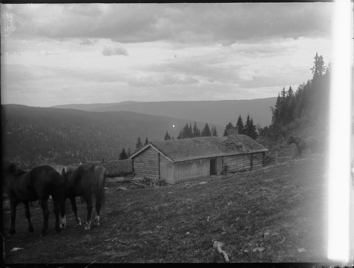 Ole Hansen Løken, HESTER, SETERHUS, UKJENT STED.