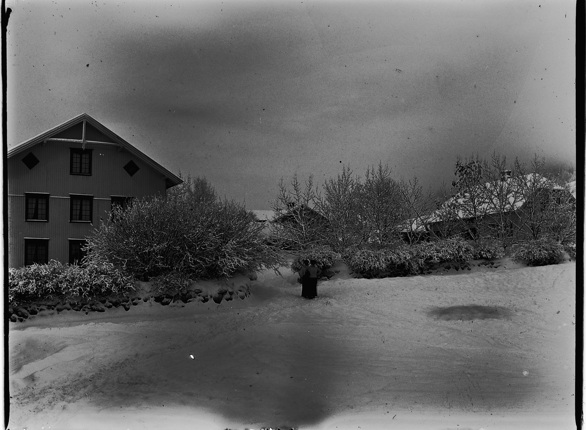 Ole Hansen Løken, LØKEN ØSTRE GARD på Rudshøgda i Ringsaker, VINTER.