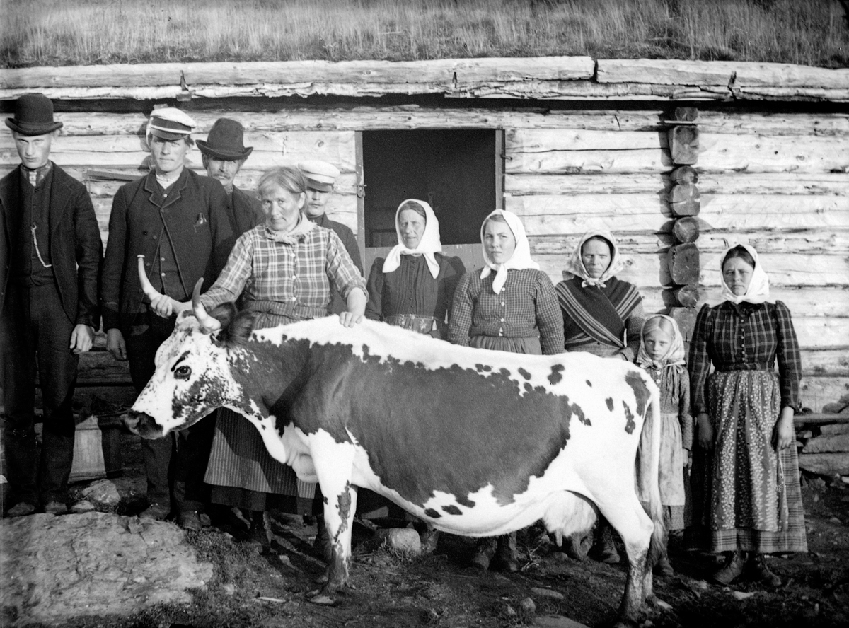 Ole Hansen Løken, UKJENT SETER, GRUPPE 10 UKJENTE, BARN OG VOKSNE, BUDEIER, TELEMARKSKU.