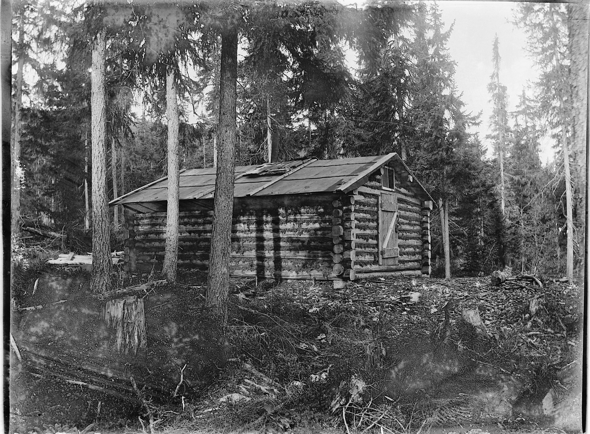 Ole Hansen Løken, Ljørkoie, Ringsaker almenning, tømmerkoie, skogsarbeid.