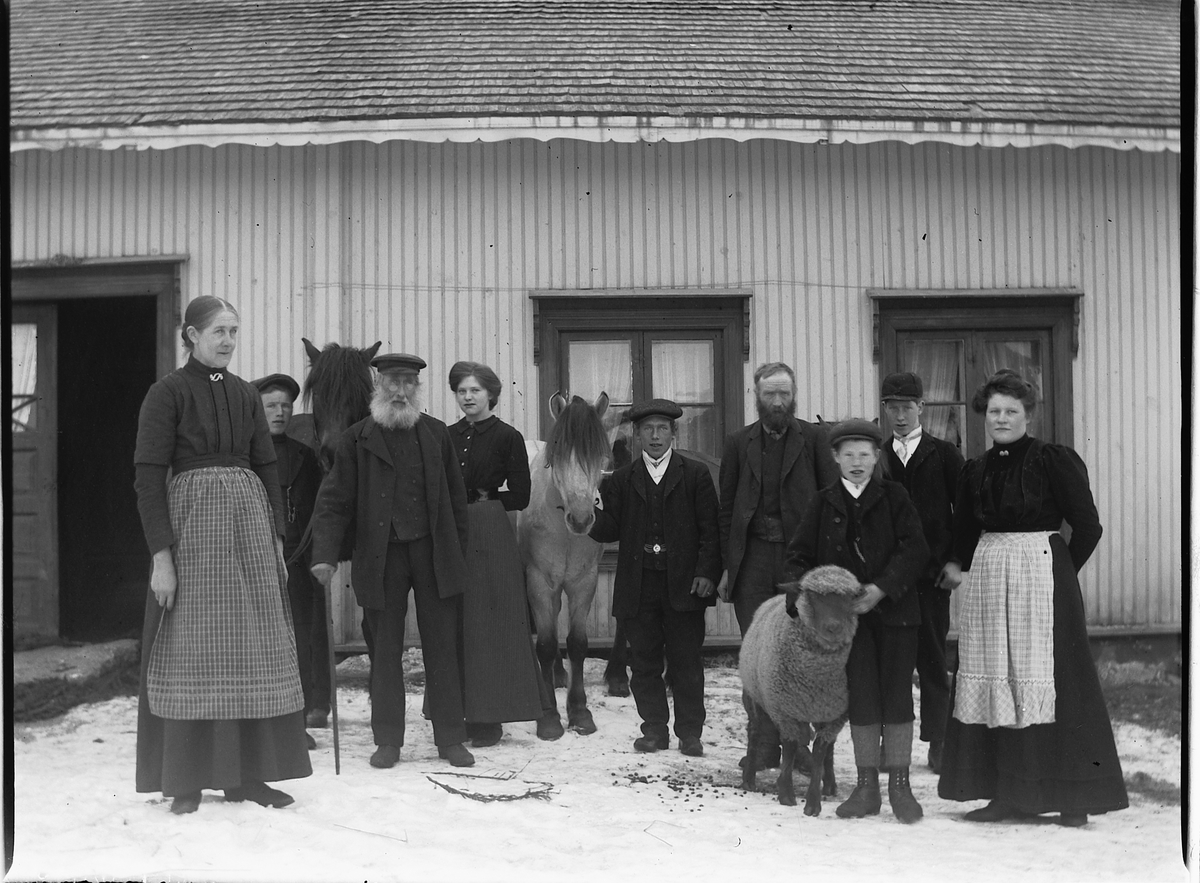 Ole Hansen Løken, KOLLSTAD LILLE, GRUPPE 9. NR. 3 F. V. ANDREAS KOLSTAD, 6 PER SOUG, NR. 9 MARIE SOUG. DE ØVRIGE ER 3 BARN, 2 GÅRDSGUTTER OG 1 BUDEIE. UKJENTE NAVN. HESTER OG SAUEBUKK, VÆR. CA. 1910.