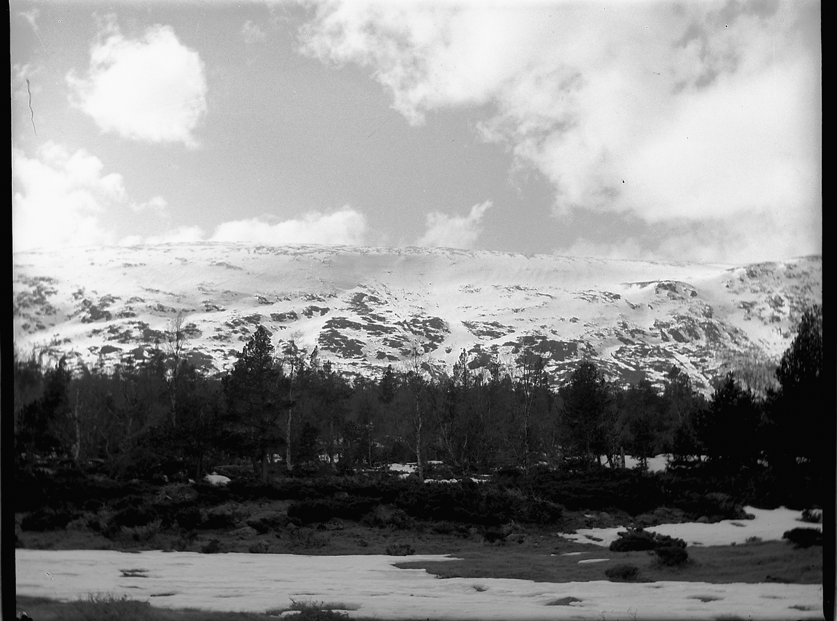Ole Hansen Løken, UKJENT LANDSKAP, FJELL.