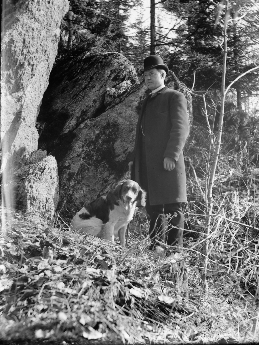 Ole Hansen Løken, MANN, HUND. UKJENT. BERGSTEIN, LØKENBERGET, LØKEN GARD i Ringsaker.