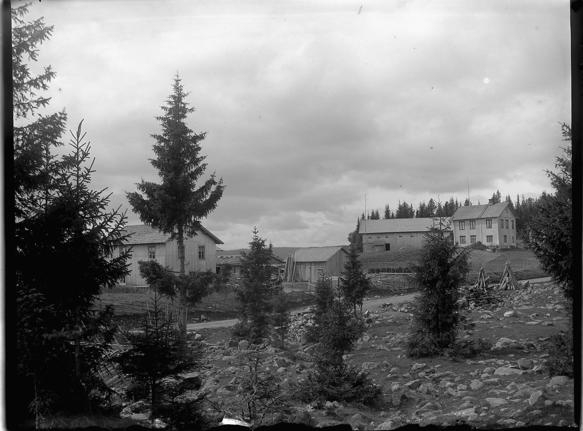 Ole Hansen Løken, BERGUNDHAUGEN ØVRE, NEDRE.
