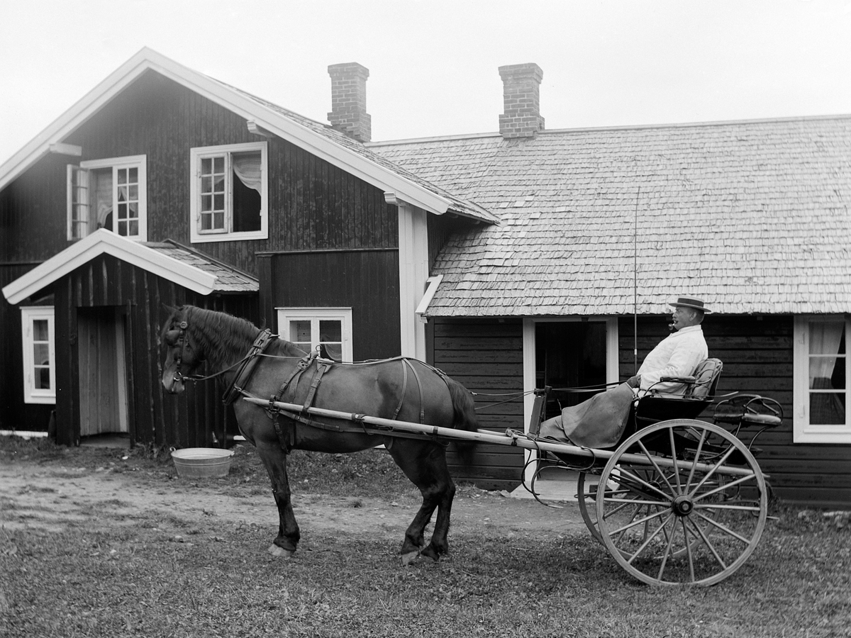 Ole Hansen Løken, ASLABAKKEN i Ringsaker, HEST OG KJERRE, HESTEKJØRETØY, MANN MED PISK. SORENSKRIVER PETER BREDAL.