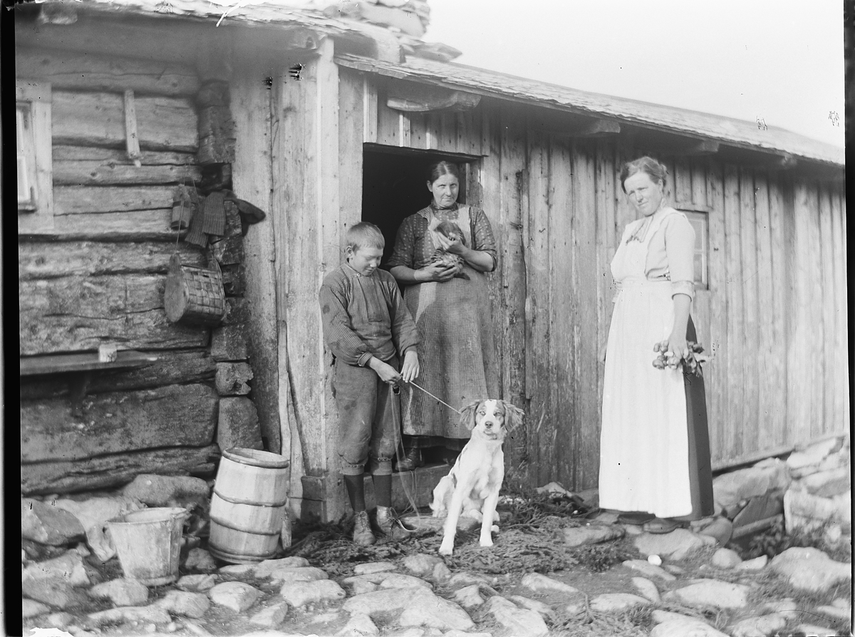 Ole Hansen Løken, TO BUDEIER, GUTT, HUND, UTENFOR SETERFJØS. UKJENT. TANDE?