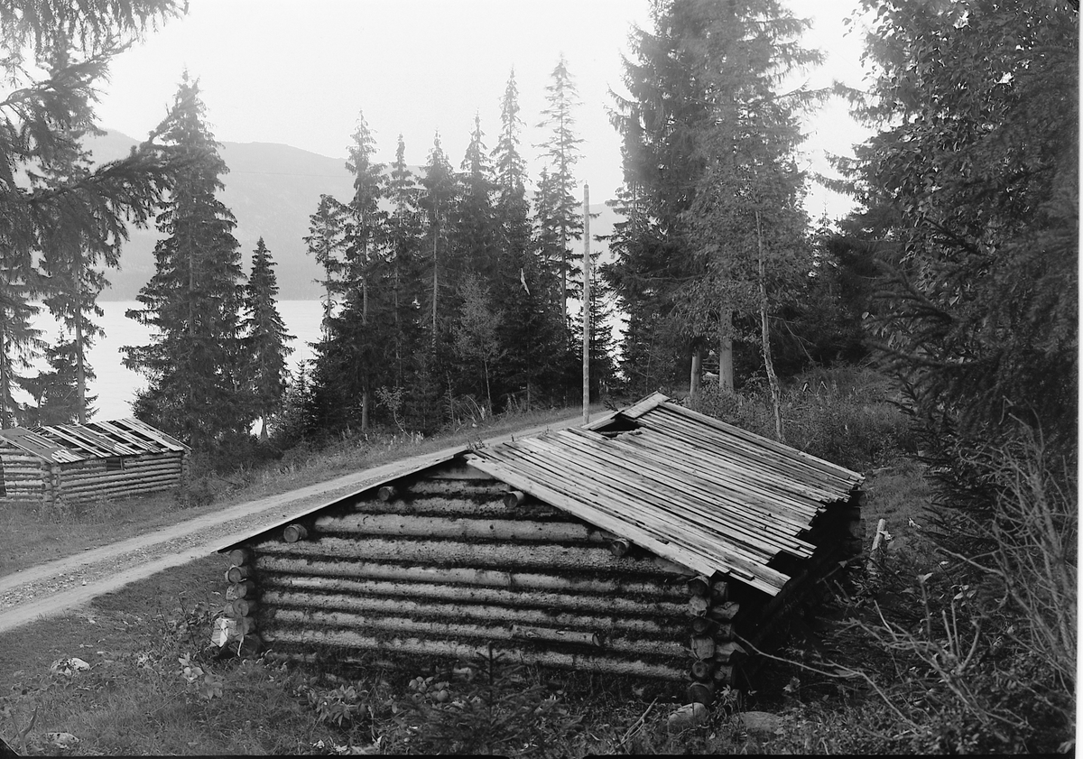 Ole Hansen Løken, TØMMERKOIE, SKOGSKOIE.