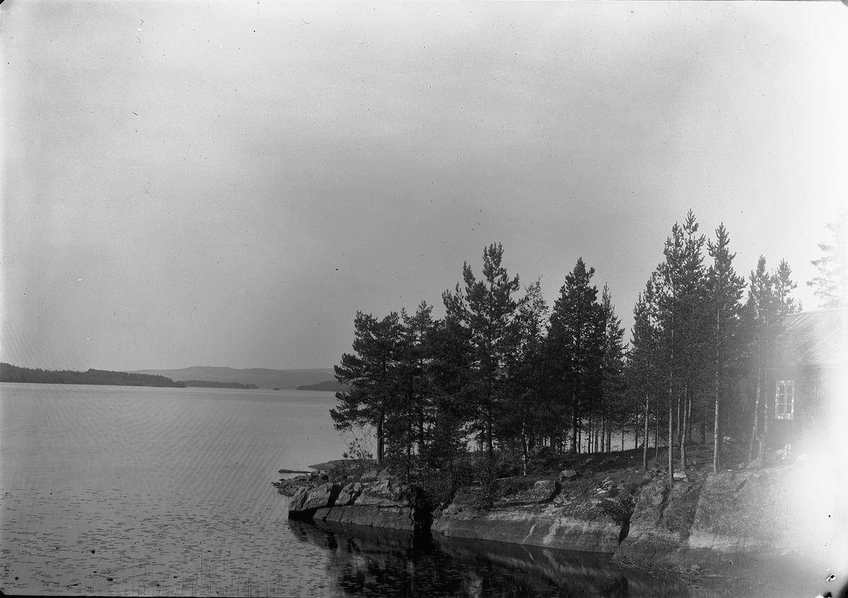 Ole Hansen Løken, NÆRA i Ringsaker