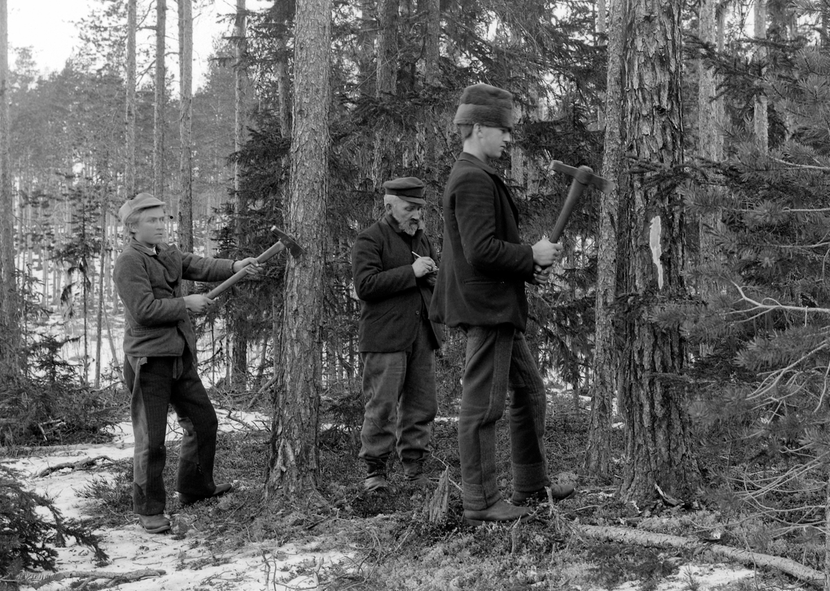Ole Hansen Løken, SKOGBRUK, TRE UKJENTE MENN BLINKER TØMMER.