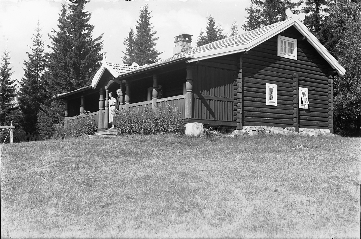 Oscar Løberg, BANKSJEF ANDERSENS HYTTE I VANGSÅSEN, Hamar.