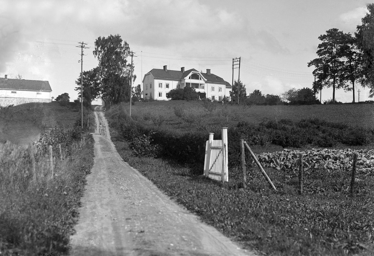 Oscar Løberg, FINSAL, VANG, Hamar, GNR. 8, BNR. 1.