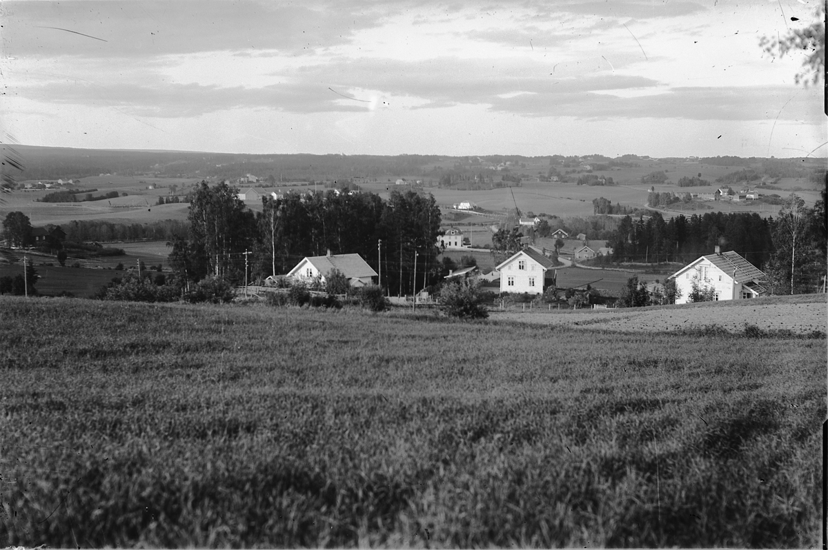 Oscar Løberg, UTSIKT FRA SMEBY-JORDET I VANG på Hedemarken, CA. 1930. HUSA I FORGRUNNEN TILHØRTE HENHOLDSVIS JERNBANEMANN SUNDAL, GARTNER RUD (NSB) OG "PROFESJONELL TORGHANDLER" AKSELSEN. HELT TV. HOVEDBYGNINGA PÅ VIEN, I BAKGR. FV. IMMERSLUND-GARDENE, FLAKSTAD-GARDENE OG LENGER BAK STOR-IMMERSLUND, KÅTERUD-VILL…