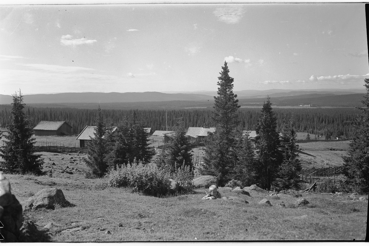 Håkon Prestkværn, LAUVLIA SETERGREND, RINGSAKFJELLET.
