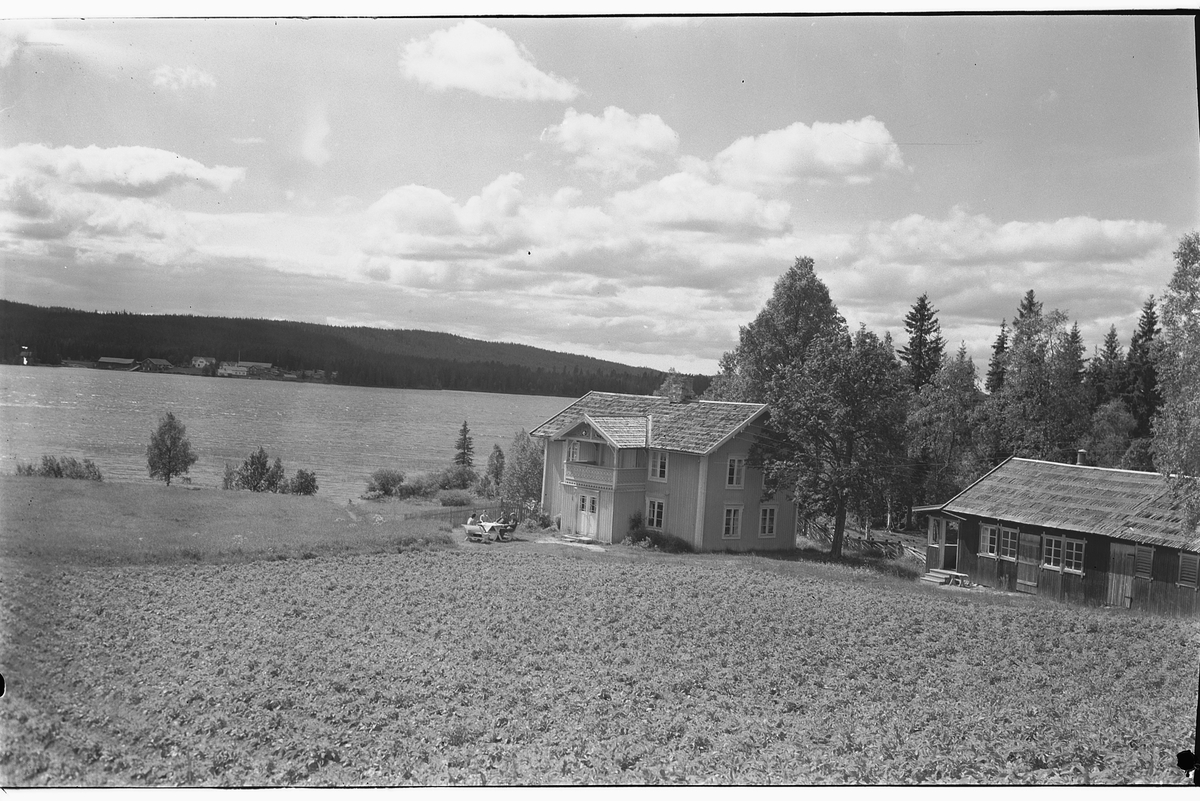 Håkon Prestkværn, Haug gard, Bergundhaugen, Mesnalia, Sør-Mesna, Ringsaker.